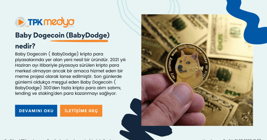 Baby Dogecoin ( BabyDodge) nedir?